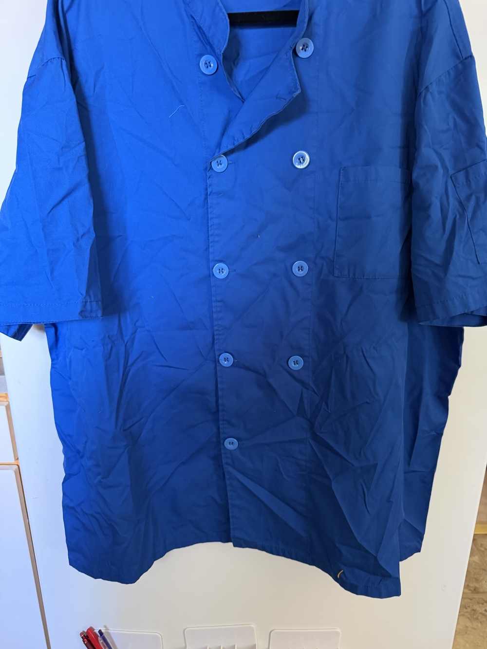Women's Blue Button-Down Short-Sleeve Shirt
